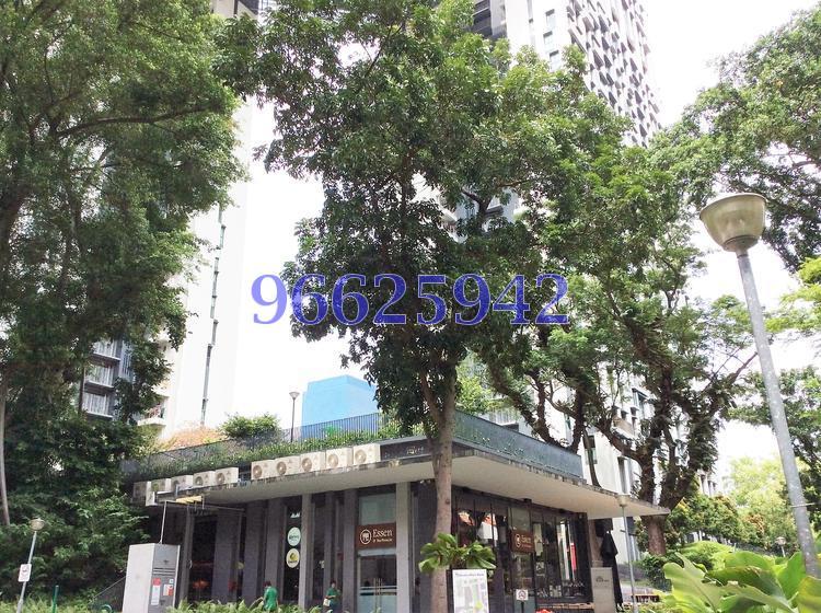 Blk 1D The Pinnacle@Duxton (Bukit Merah), HDB 4 Rooms #131881132